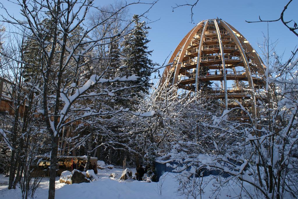 Landhotel Koller Ringelai Bagian luar foto